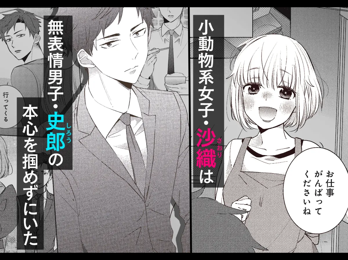 ふつつかものですが、溺愛してください。 ~政略結婚は恋の始まり!?~ ふつつかものですが、溺愛してください。 ~政略結婚は恋の始まり!?~