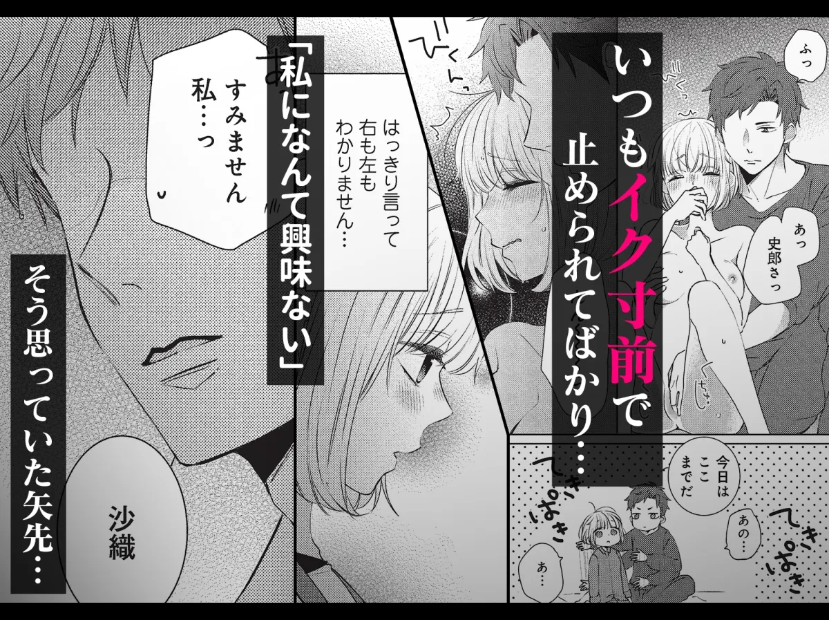 ふつつかものですが、溺愛してください。 ~政略結婚は恋の始まり!?~ ふつつかものですが、溺愛してください。 ~政略結婚は恋の始まり!?~