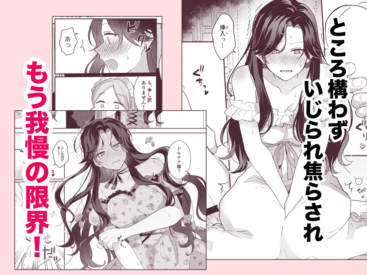 悪役令嬢はチートを失い好色貴族の手に堕ちる2 悪役令嬢はチートを失い好色貴族の手に堕ちる2