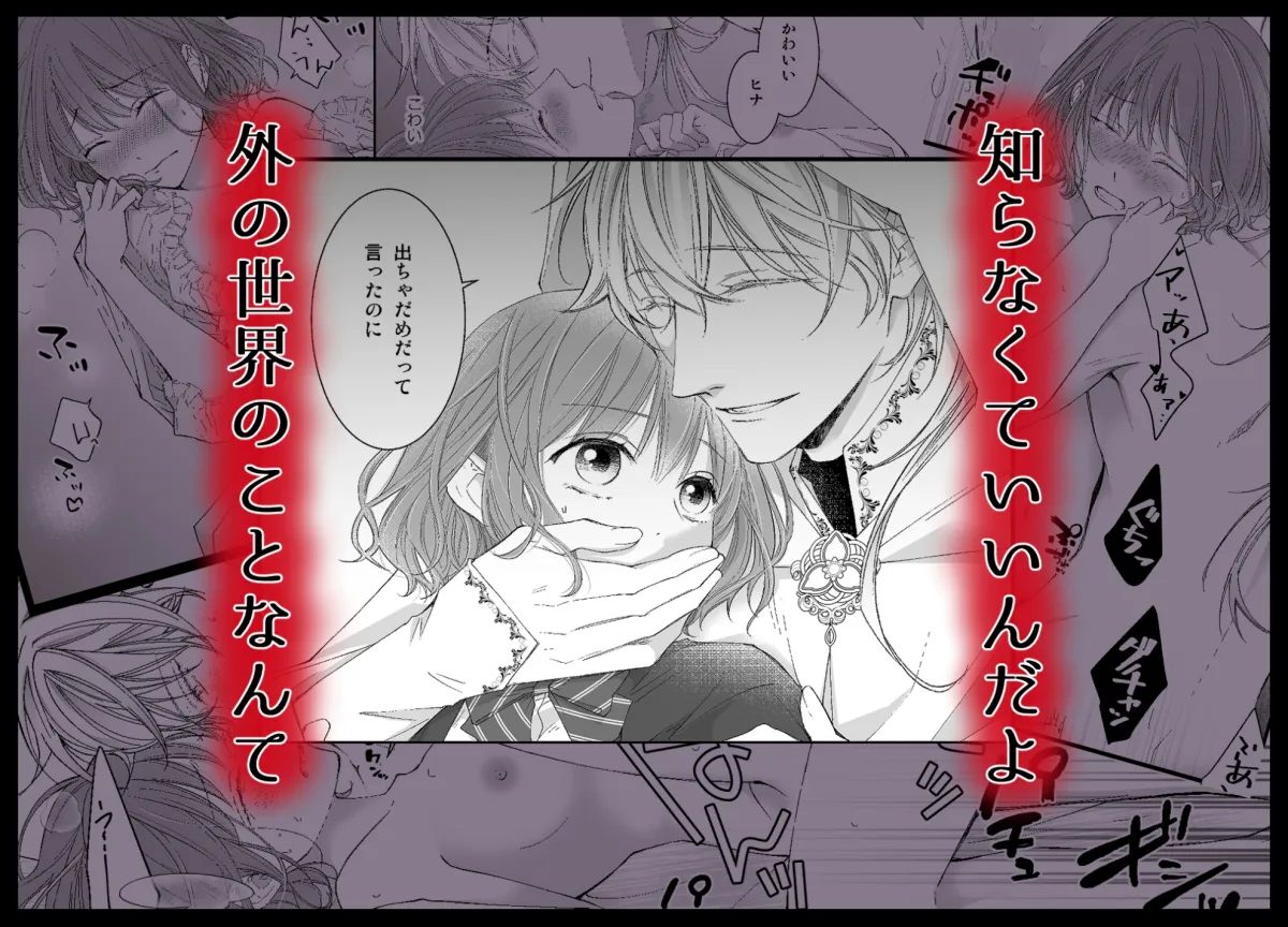 魔術師の鳥籠-フォレノワール-