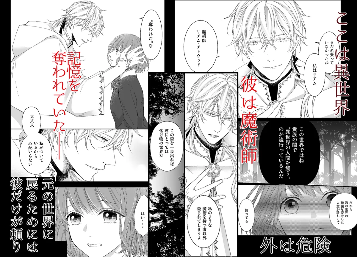 魔術師の鳥籠-フォレノワール-