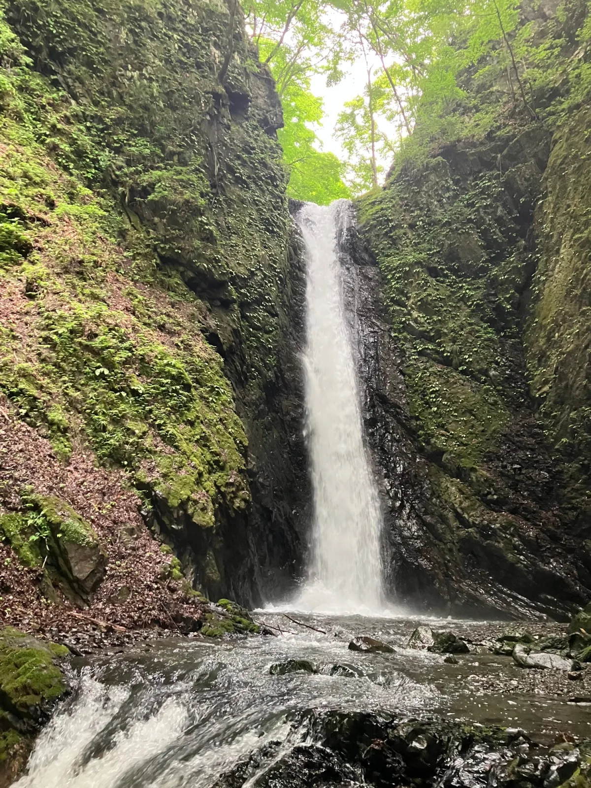 やまなし【全年齢/こだわりの環境音/本編2時間30分/CV:がびさん】 やまなし【全年齢/こだわりの環境音/本編2時間30分/CV:がびさん】