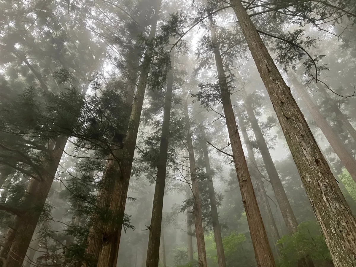 やまなし【全年齢/こだわりの環境音/本編2時間30分/CV:がびさん】 やまなし【全年齢/こだわりの環境音/本編2時間30分/CV:がびさん】