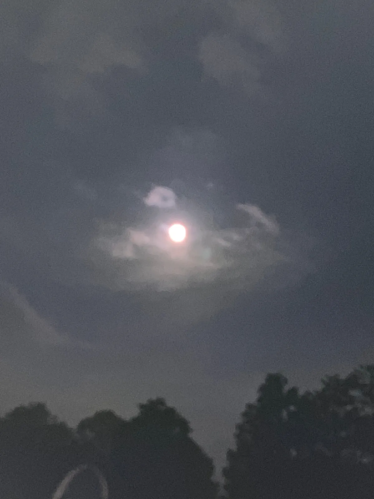 やまなし【全年齢/こだわりの環境音/本編2時間30分/CV:がびさん】 やまなし【全年齢/こだわりの環境音/本編2時間30分/CV:がびさん】