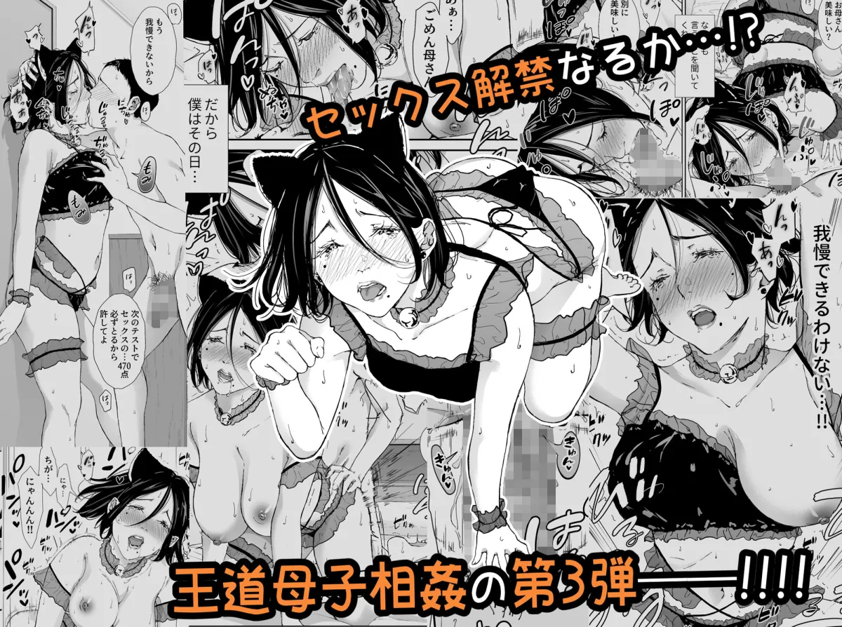 僕の大好きな母さんと思う存分セックスできる日 3 僕の大好きな母さんと思う存分セックスできる日 3