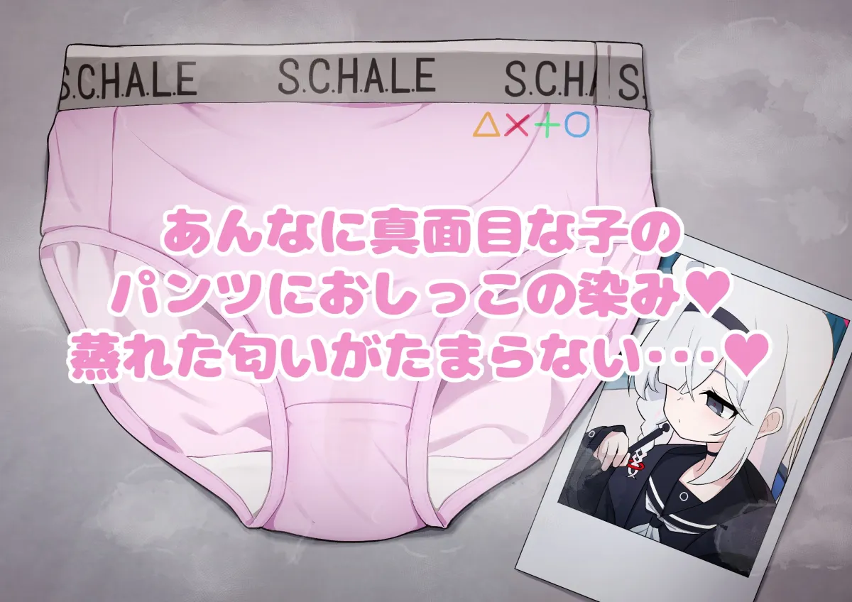 ブルアカパンツアーカイブ ブルアカパンツアーカイブ