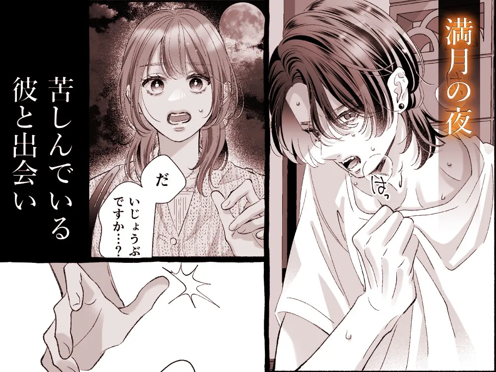 あの日拾った吸血鬼に抱き潰される話 あの日拾った吸血鬼に抱き潰される話