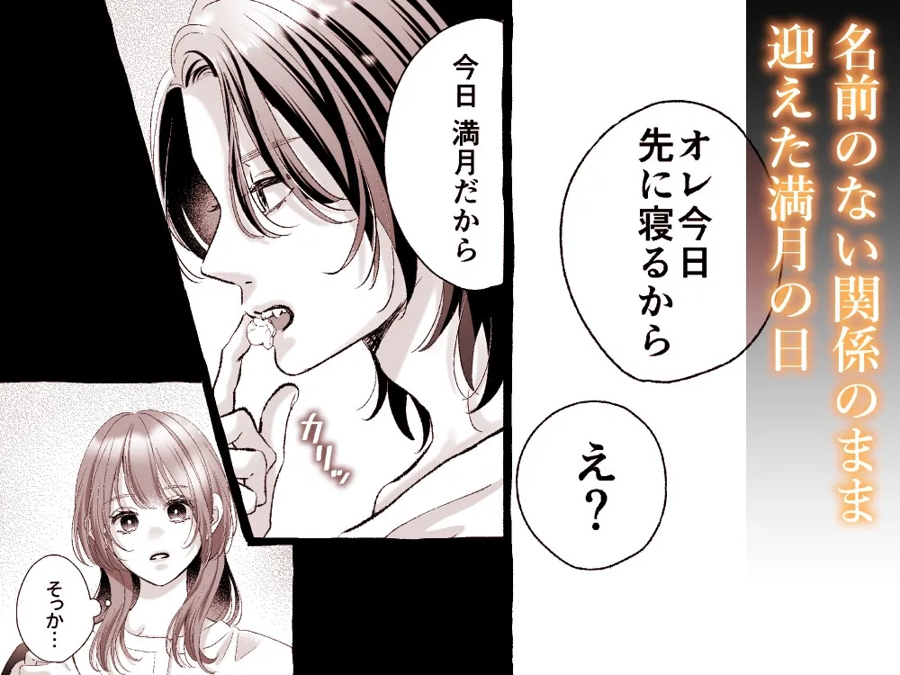 あの日拾った吸血鬼に抱き潰される話 あの日拾った吸血鬼に抱き潰される話