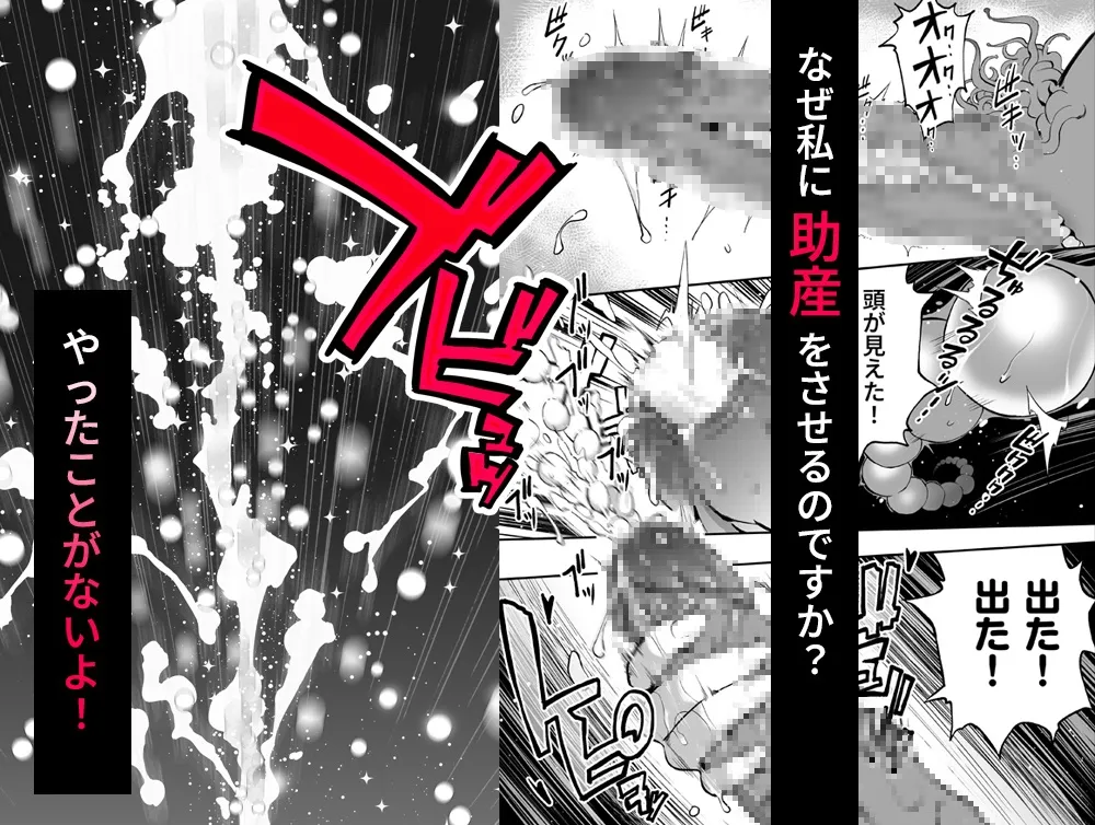 雄妊——異世界の王様に子作りを頼まれたら断れなかった!