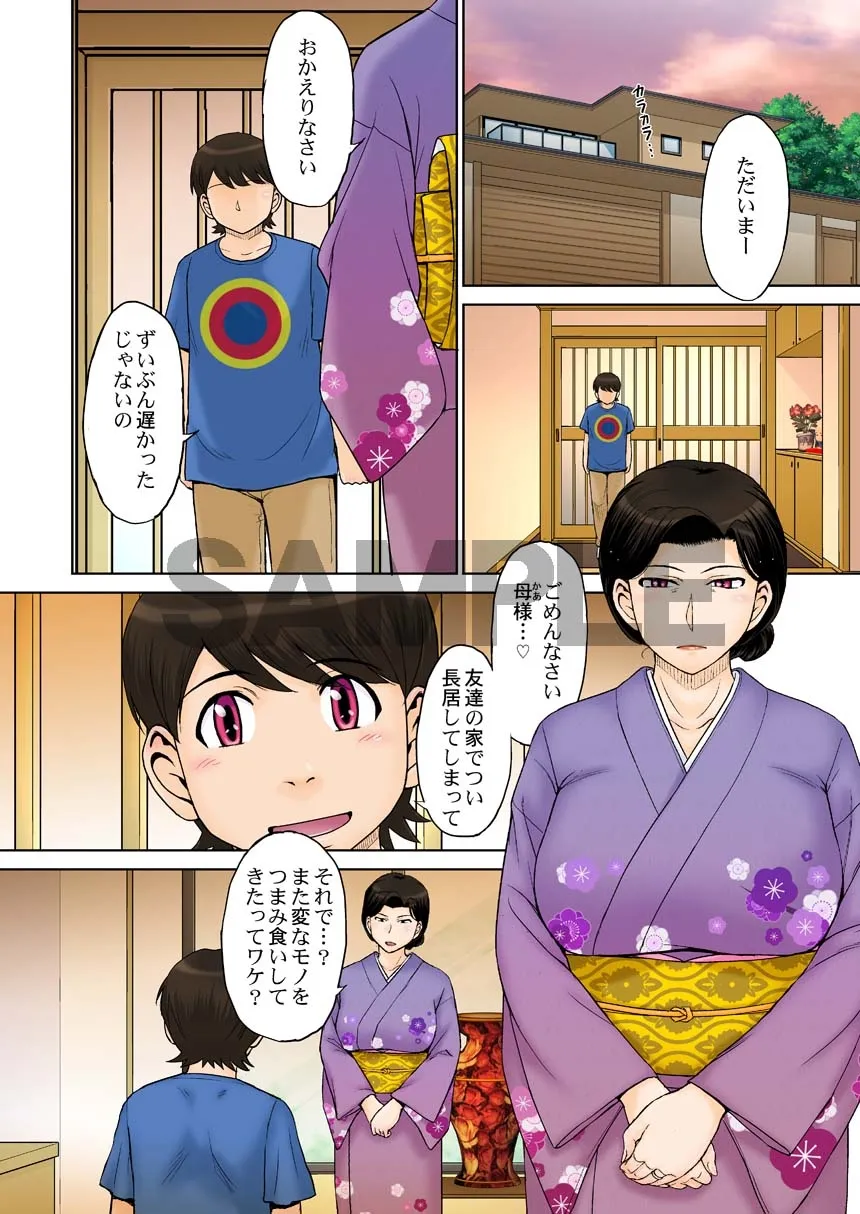 とある熟女好き男子のラブハメ交姦録File02 とある熟女好き男子のラブハメ交姦録File02