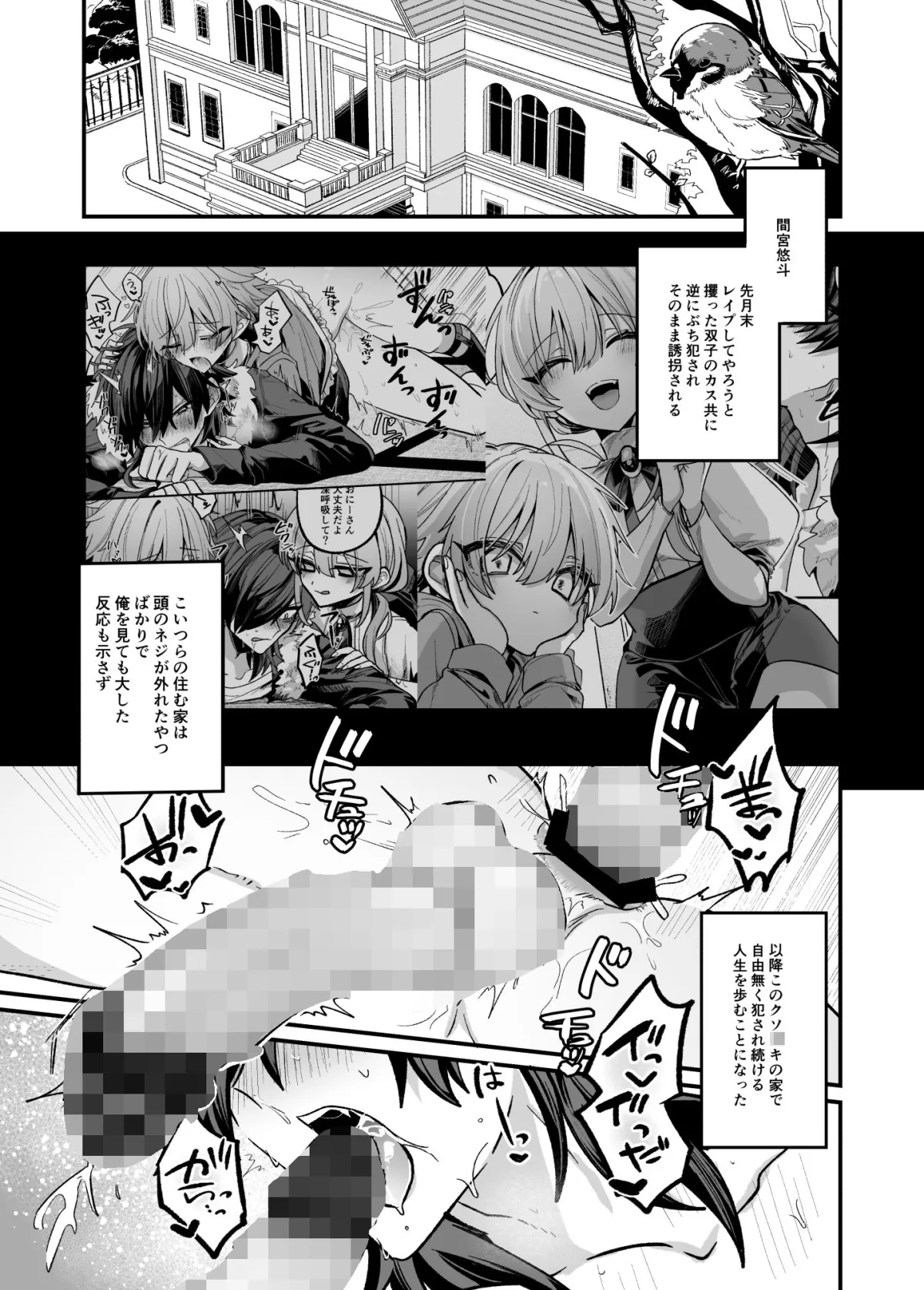 嫉妬した双子にえっちなお仕置きされちゃう本 嫉妬した双子にえっちなお仕置きされちゃう本