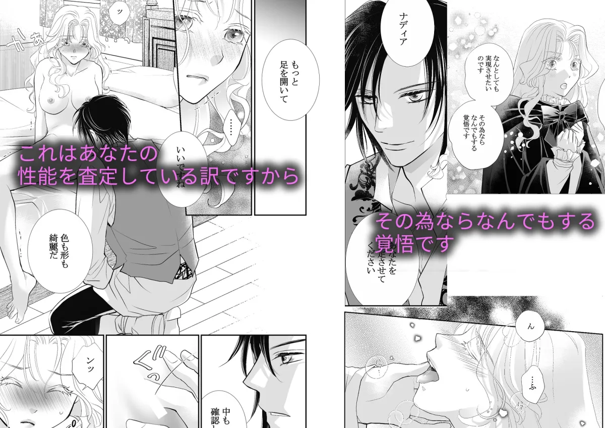 大没落令嬢ナディア・シグリット北方辺境砦で溺愛花嫁になる 大没落令嬢ナディア・シグリット北方辺境砦で溺愛花嫁になる