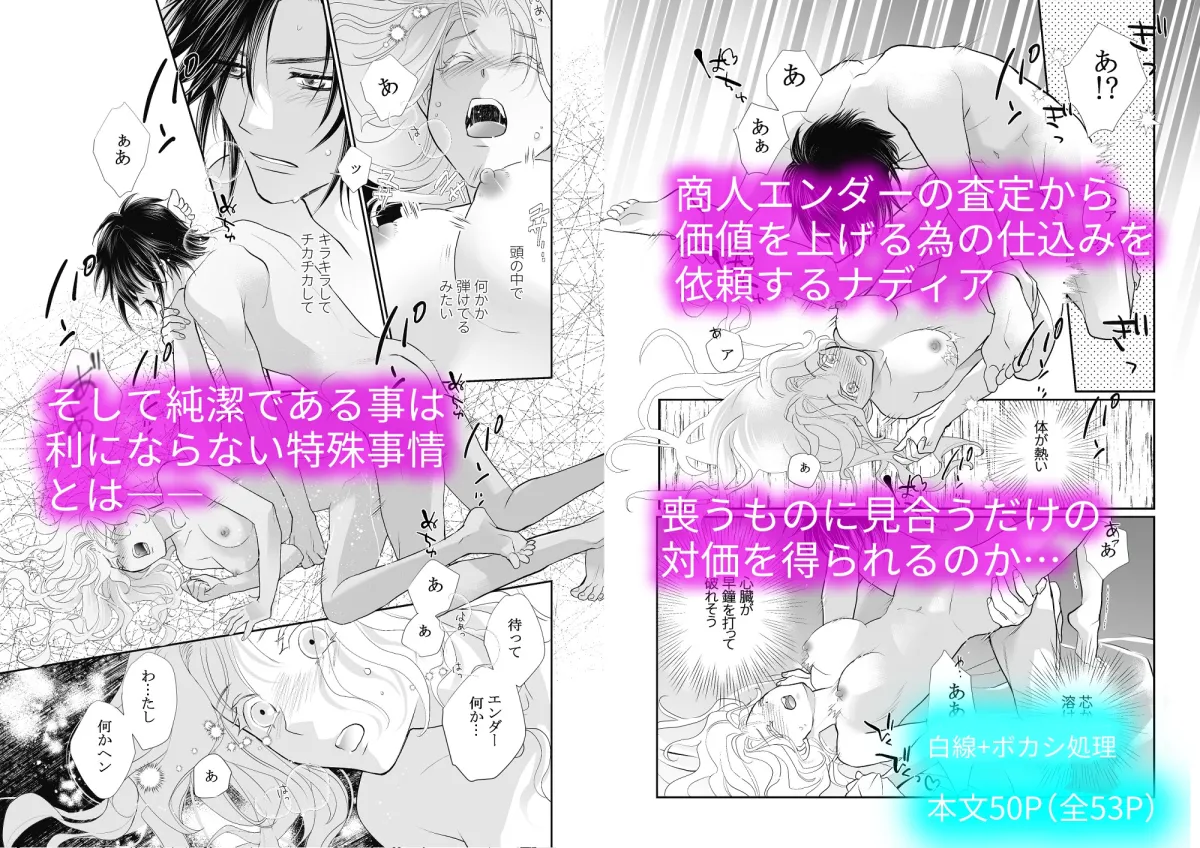 大没落令嬢ナディア・シグリット北方辺境砦で溺愛花嫁になる 大没落令嬢ナディア・シグリット北方辺境砦で溺愛花嫁になる