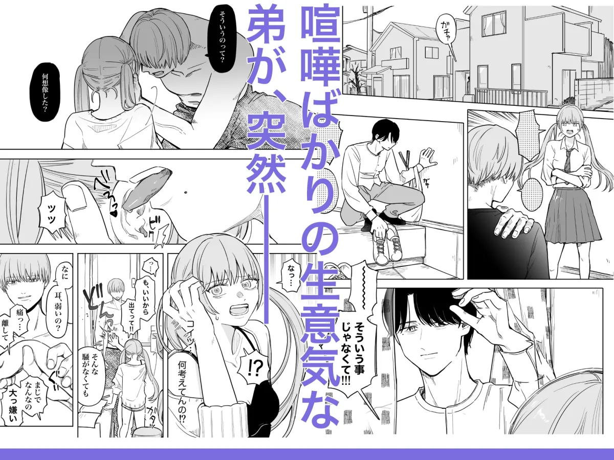 お母さんの留守中にあった事はきょうだいだけの秘密 お母さんの留守中にあった事はきょうだいだけの秘密