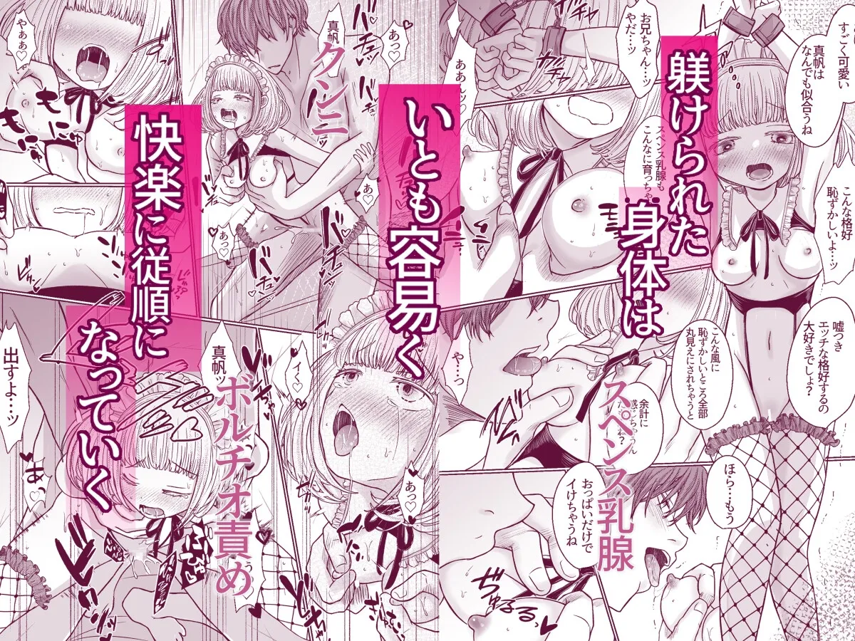 ヤンデレ義兄の策略愛〜大好きなおにいちゃんに快楽堕ちさせられて電流調教されています〜 ヤンデレ義兄の策略愛〜大好きなおにいちゃんに快楽堕ちさせられて電流調教されています〜