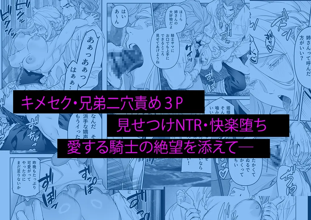 蛮族の花嫁～堕ちた姫君～