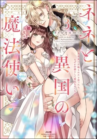 ネネと異国の魔法使い 異世界に召喚されたと思ったら、なぜか仔猫として愛玩されてます【かきおろし漫画＆電子限定ペーパー付】　（3）