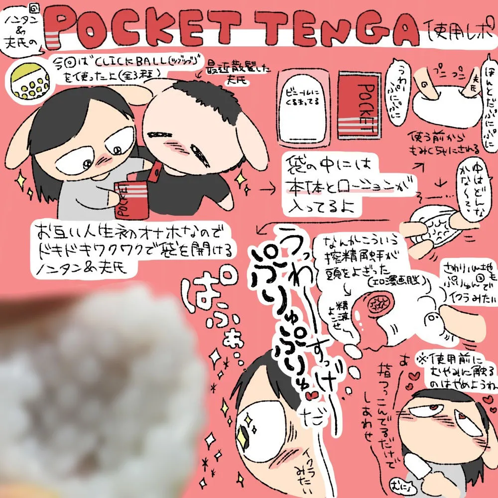 ノンタンと夫氏のレポ本