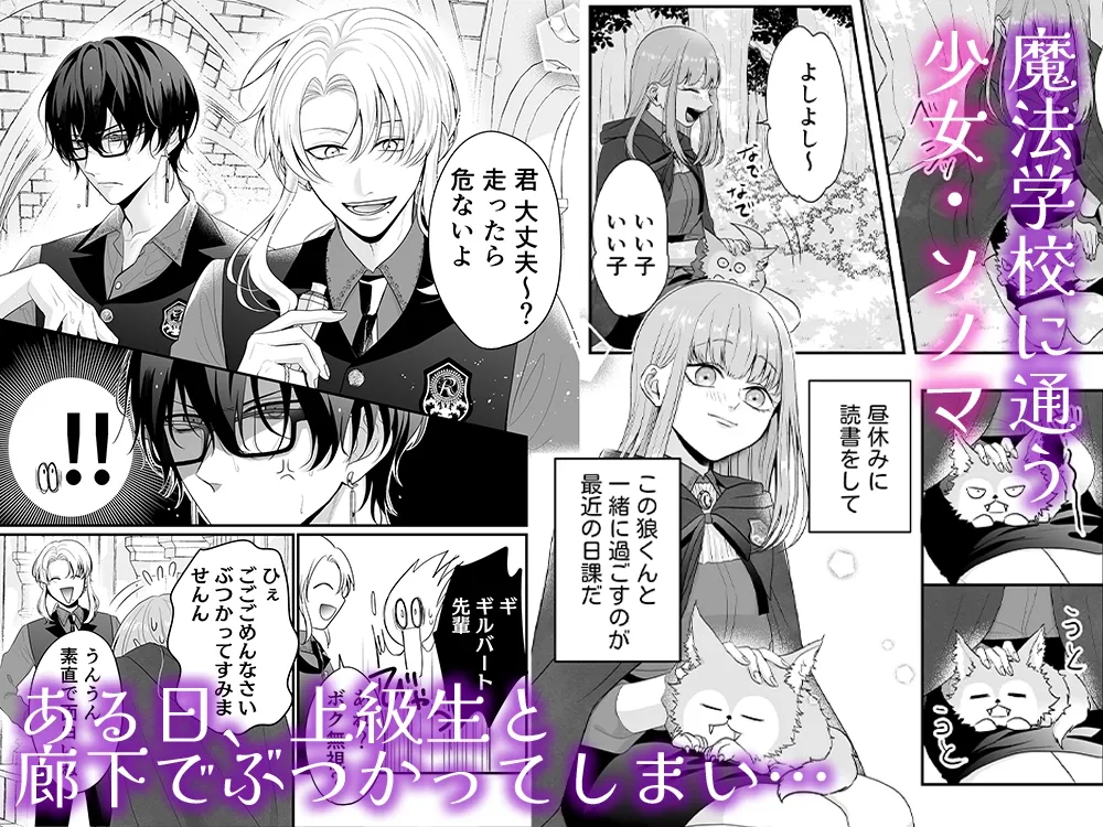 魔法学校の狼くんと媚薬えっちで強制番にされました