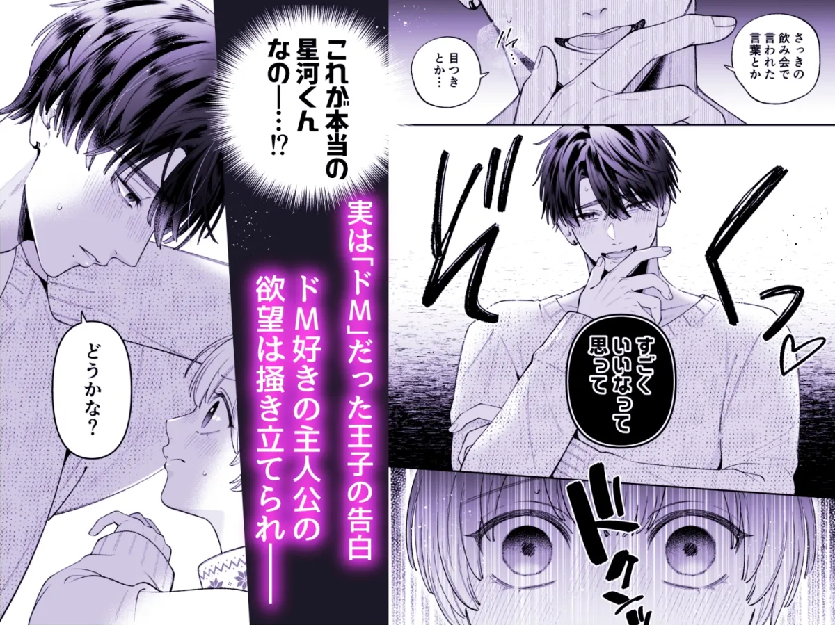 カンスト王子は冷酷姫を渇望する