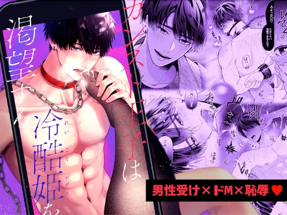 カンスト王子は冷酷姫を渇望する