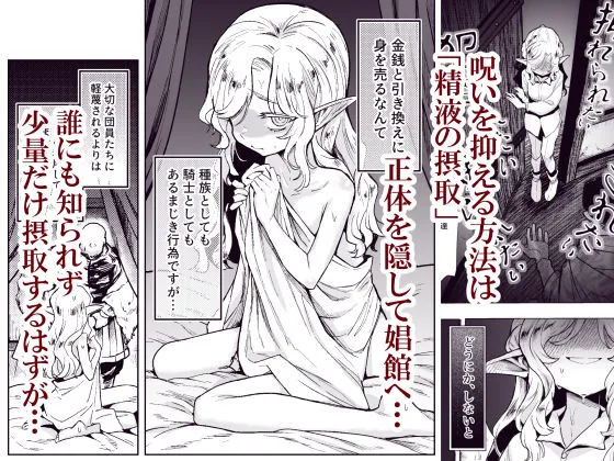 聖騎士団長様は婬術の治療のために娼館へ行きました 聖騎士団長様は婬術の治療のために娼館へ行きました