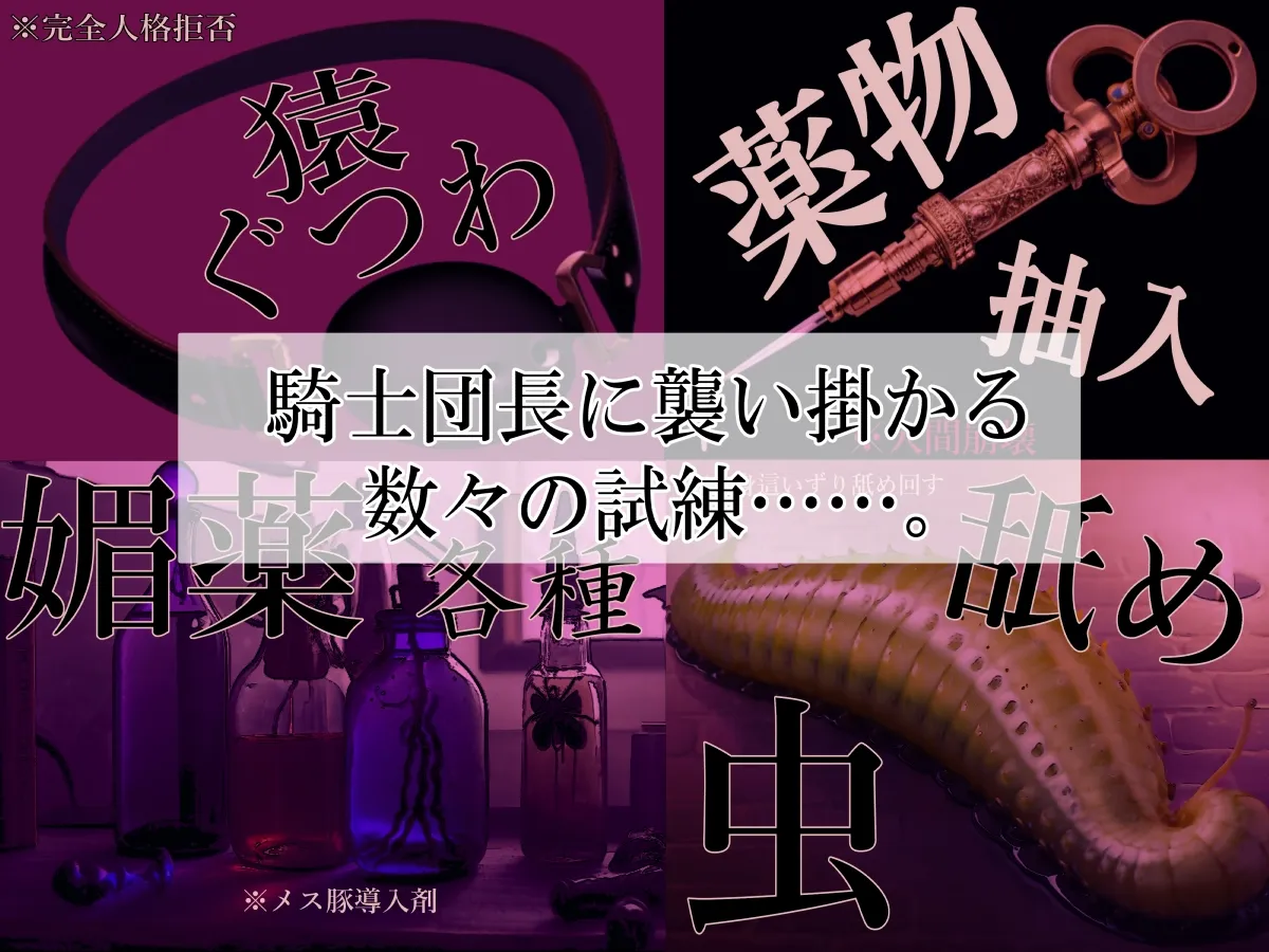 高潔女騎士団長、無様なる陥落! 男前→メス豚化ッ!! 高潔女騎士団長、無様なる陥落! 男前→メス豚化ッ!!