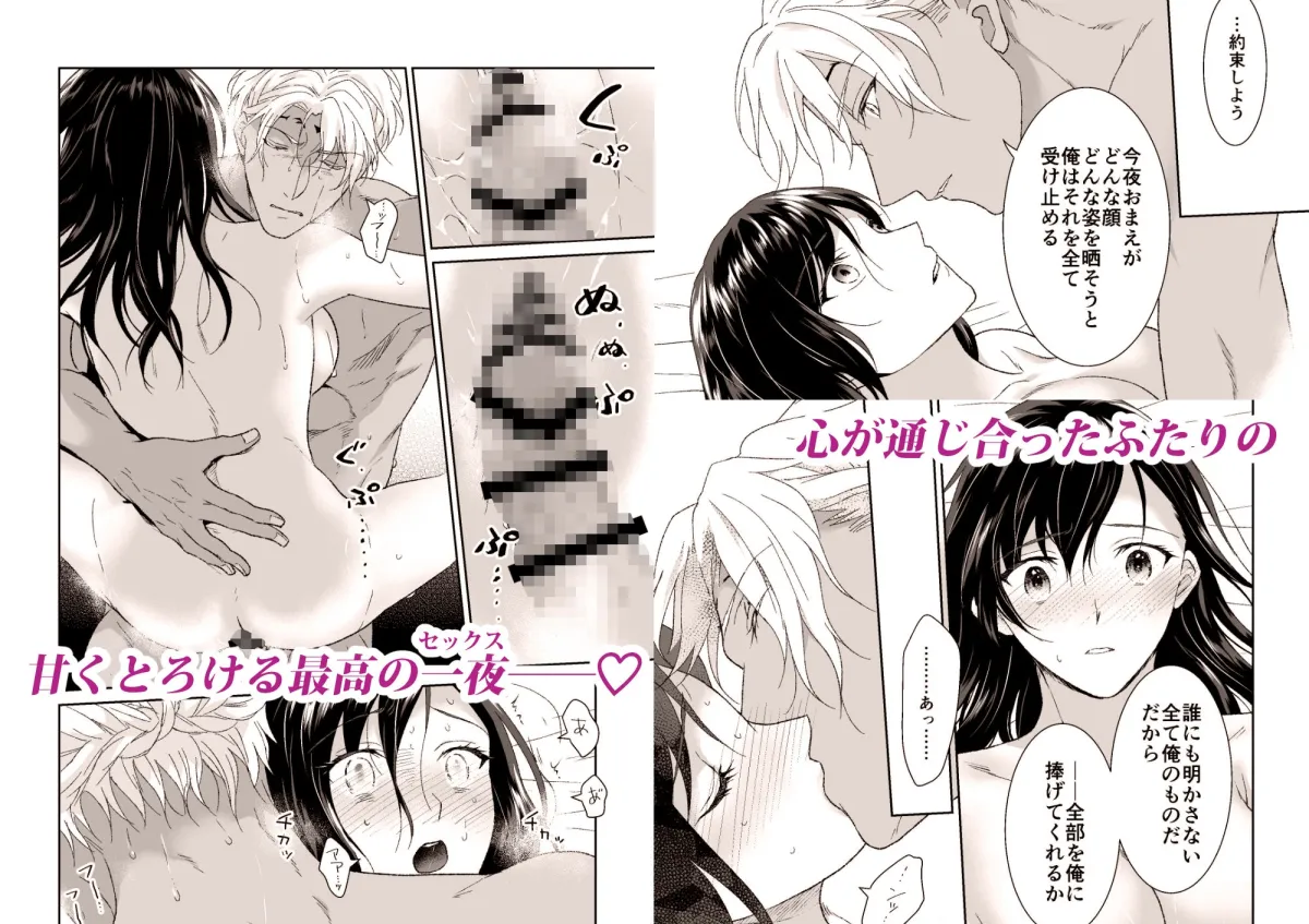 堅物女司令官が世界最強の魔術師にトロトロにされちゃいました