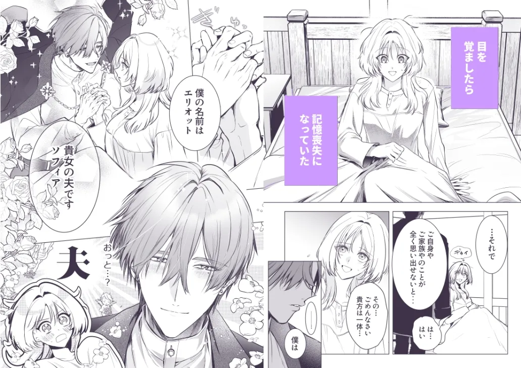 はじめまして僕の妻 はじめまして僕の妻