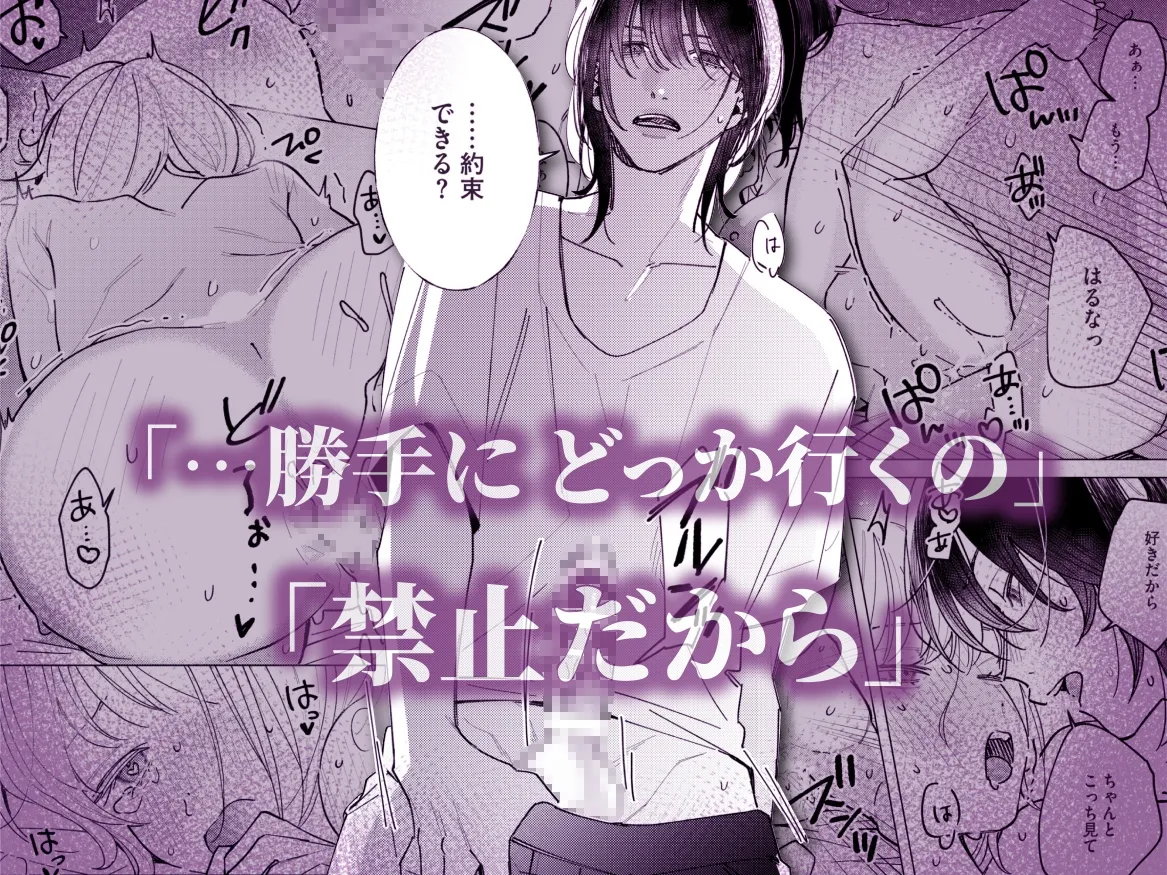 (元)セフレの晶による、私のための逆襲報復わからせえっち