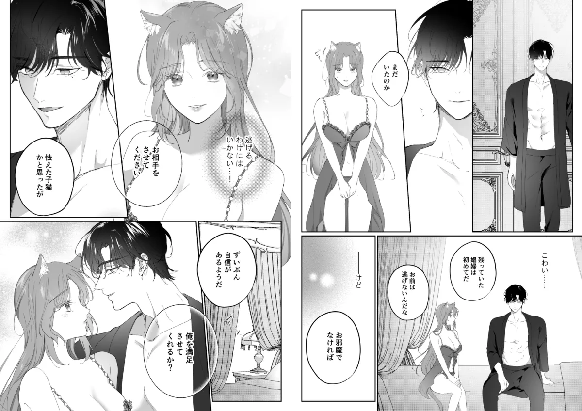 殺し屋と灰猫の娼婦