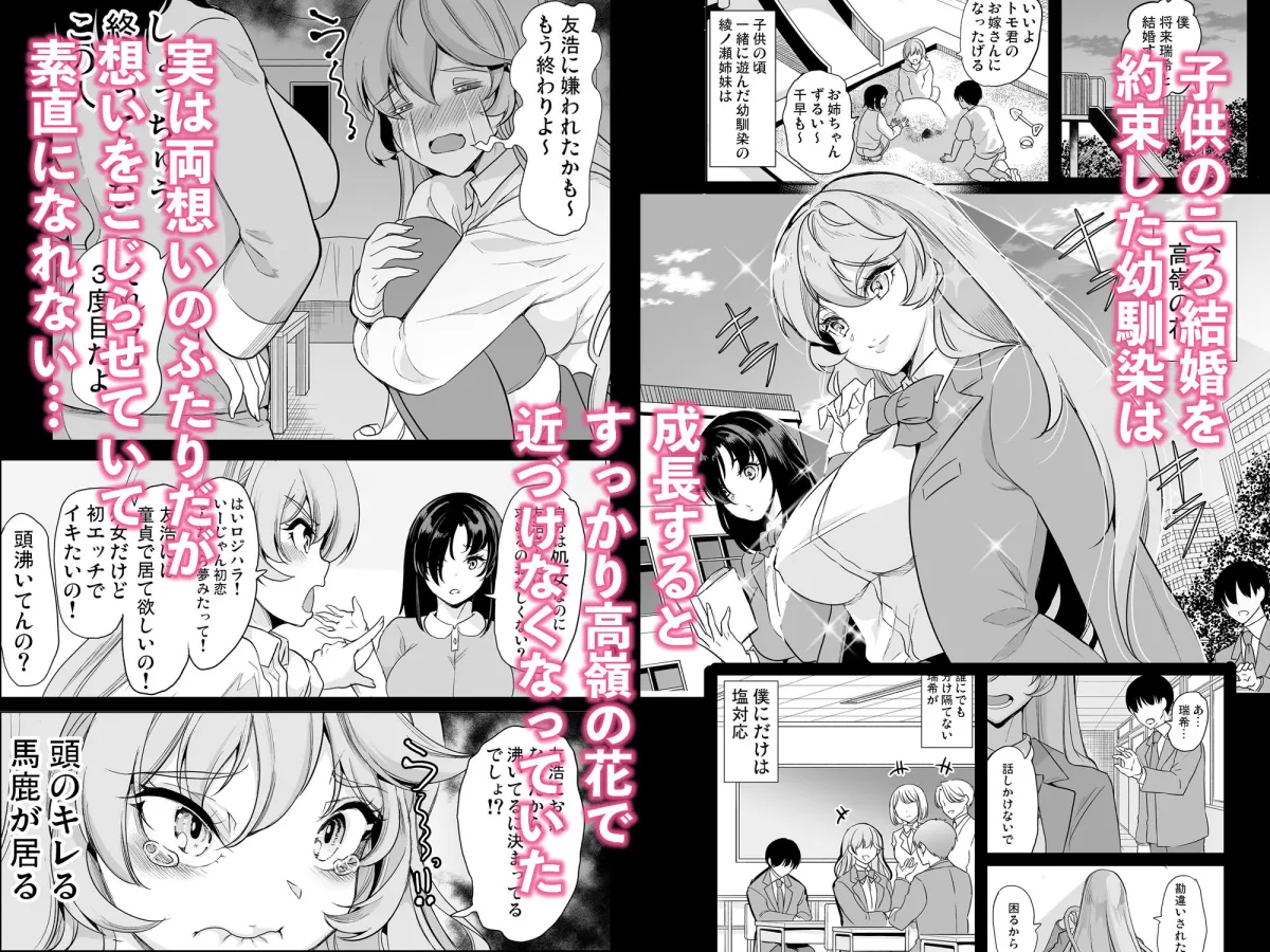 めんどくさい巨乳姉妹をセフレにした件