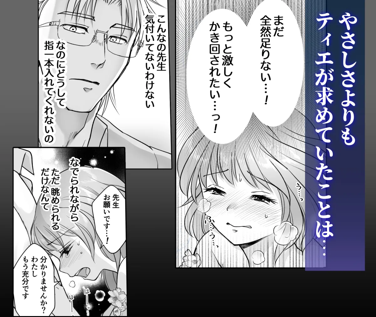 森の瞳のモルモット - 第2集 -