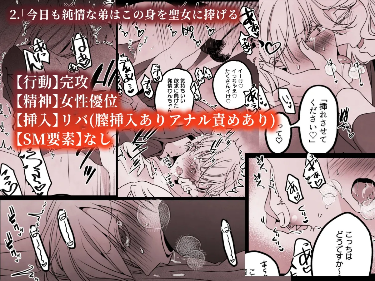 「今日も純情な弟は」シリーズ総集編