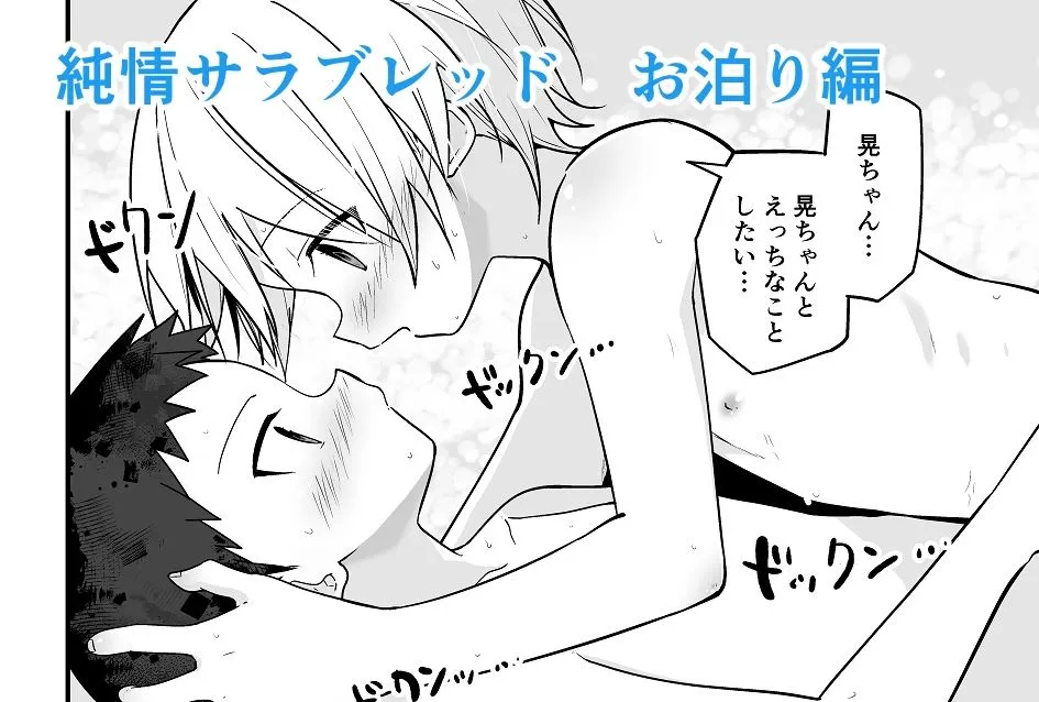 純情サラブレッド  お泊り編