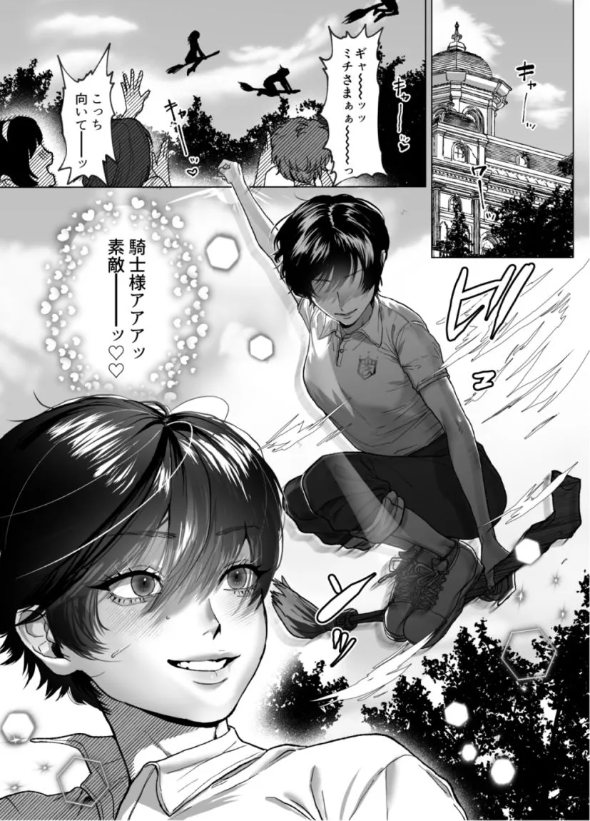 麗しの姫君♂は気高き騎士♀を溺愛したい 麗しの姫君♂は気高き騎士♀を溺愛したい