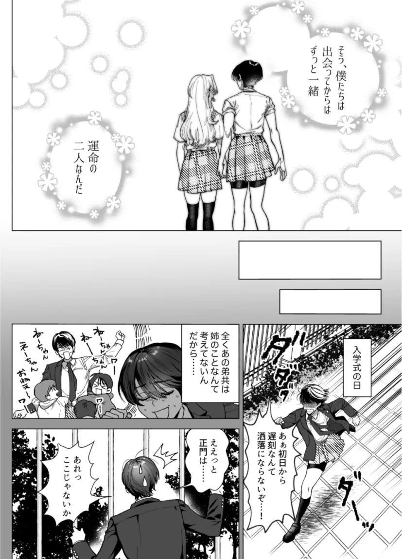 麗しの姫君♂は気高き騎士♀を溺愛したい 麗しの姫君♂は気高き騎士♀を溺愛したい