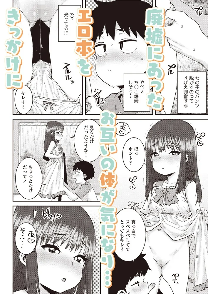 LOE 花蕾 LOE 花蕾