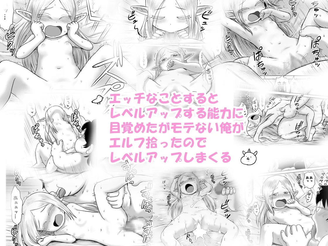 エッチなことするとレベルアップする能力に目覚めたがモテない俺がエルフ拾ったのでレベルアップしまくる