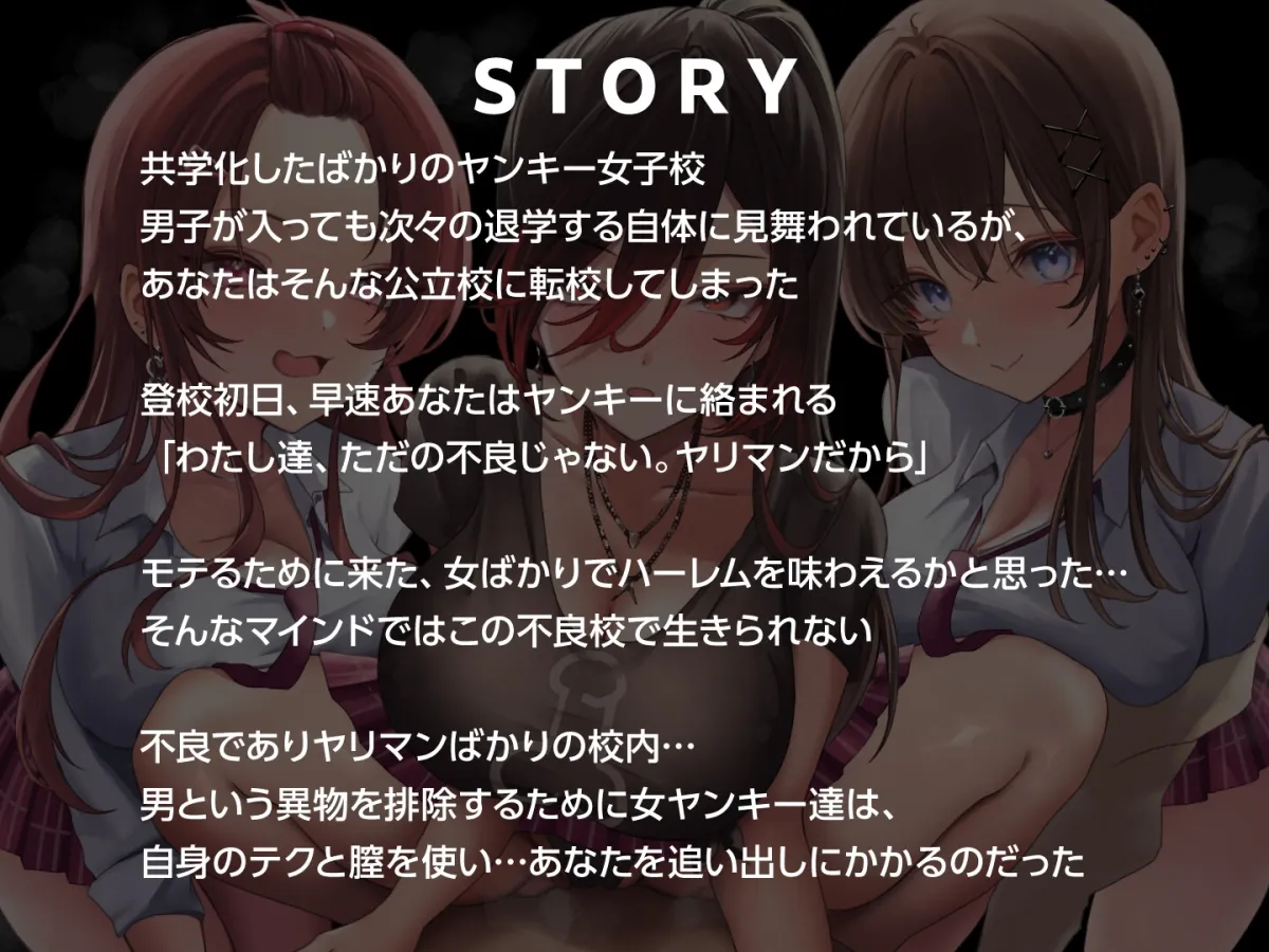 【期間限定55円】ヤンキービッチの性奴隷！ザーメン搾搾日和＜KU100＞