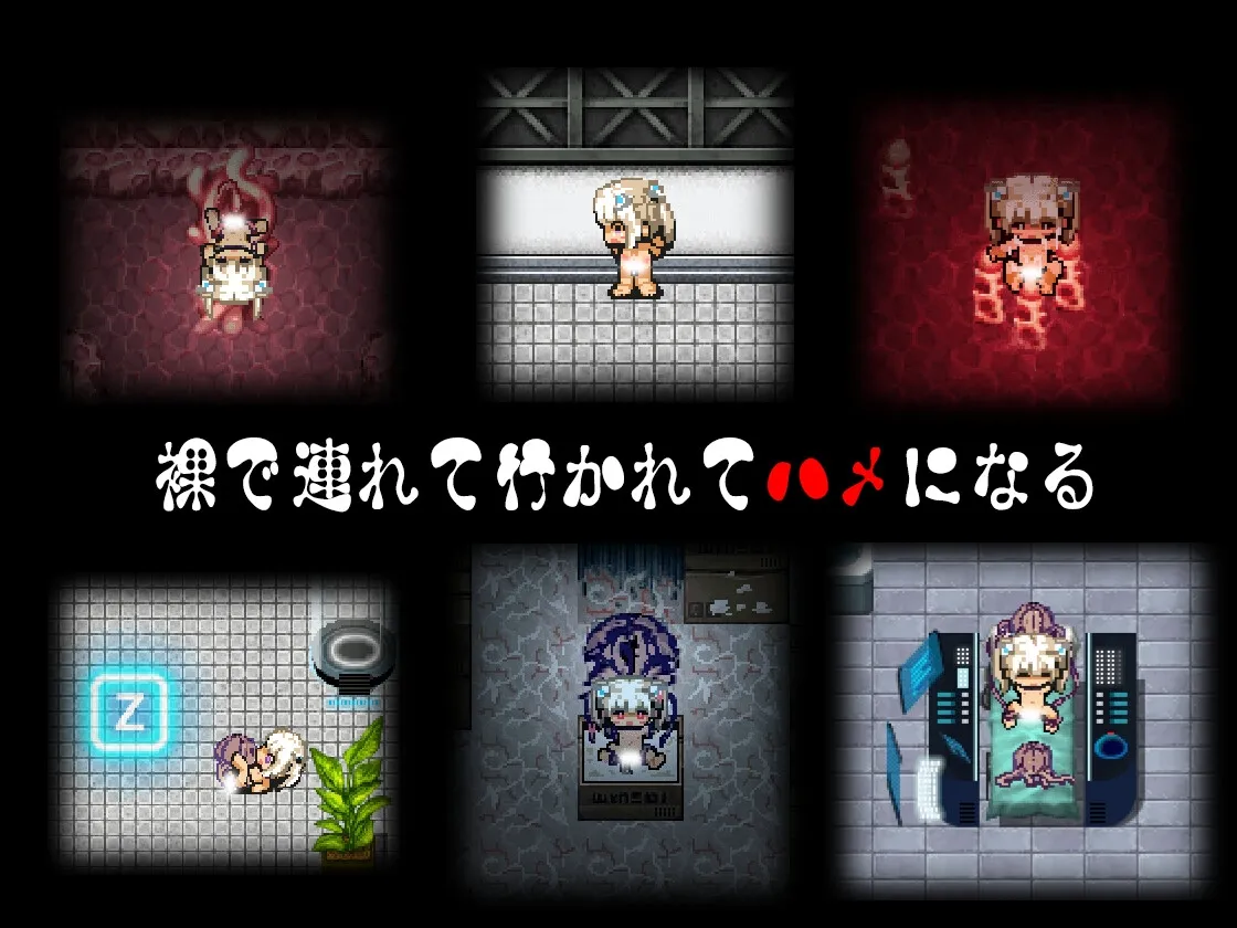 ステラの漂流日記 ステラの漂流日記