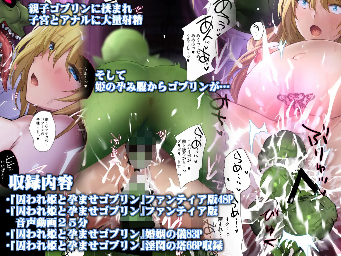 囚われ姫と孕ませゴブリン