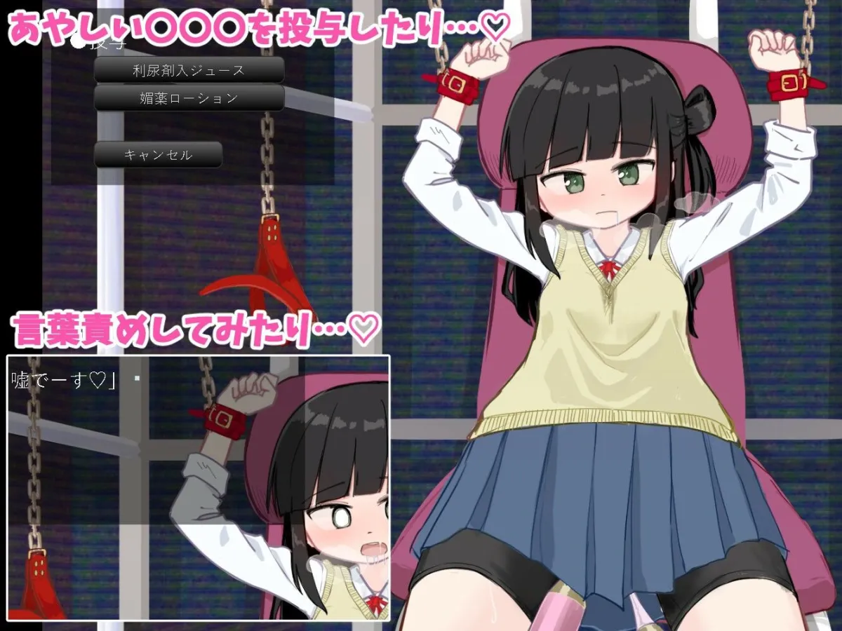 きゃぷてぃぶシミュレーター