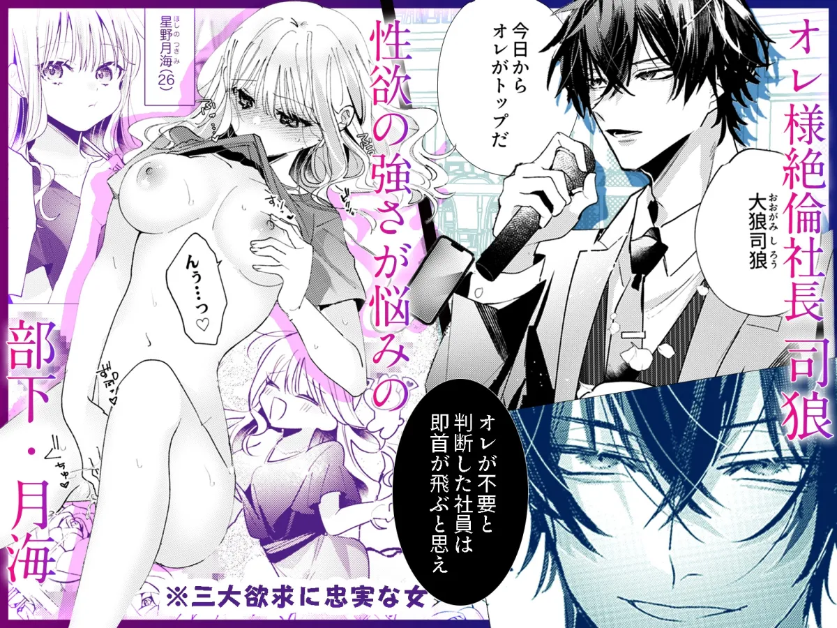 絶倫社長の愛玩うさぎ～性欲の強い男女がセックスしたら?～