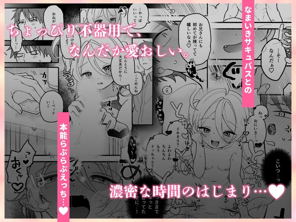 生意気処女サキュバスを拾ってしまいました