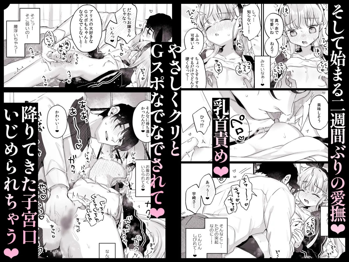 そんな愛ならいらない2~アリスなんかじゃないのに隣のお兄さんがアリスってよんできてなんか怖い~ そんな愛ならいらない2~アリスなんかじゃないのに隣のお兄さんがアリスってよんできてなんか怖い~