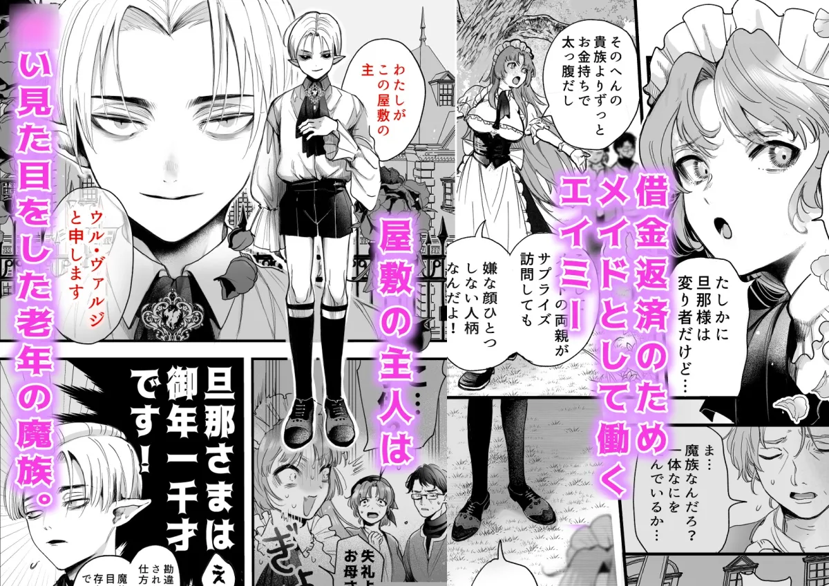 とある屋敷の人権なきメイドについて