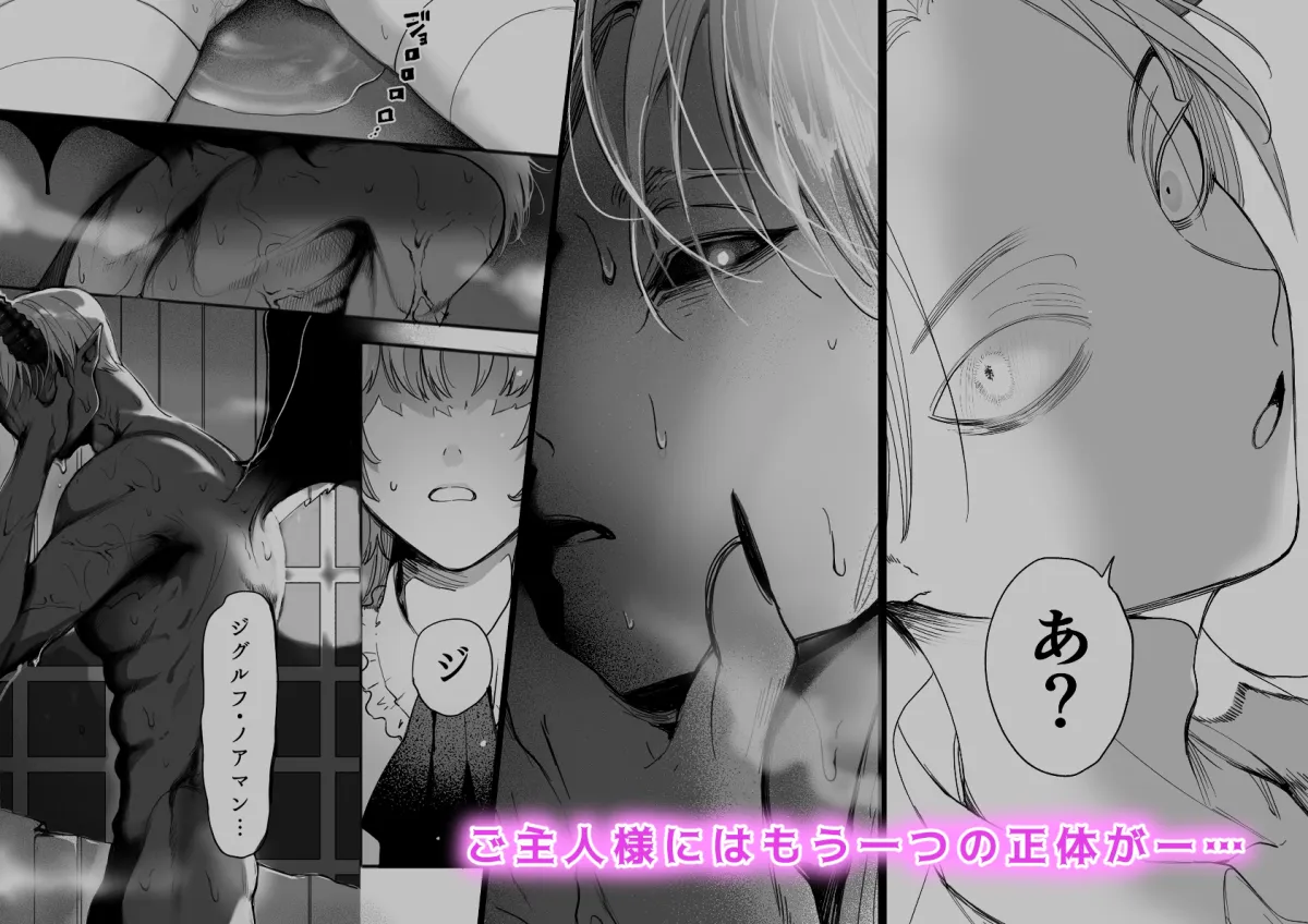 とある屋敷の人権なきメイドについて