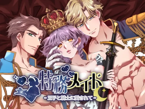 特務メイド~王子と騎士に愛されて~