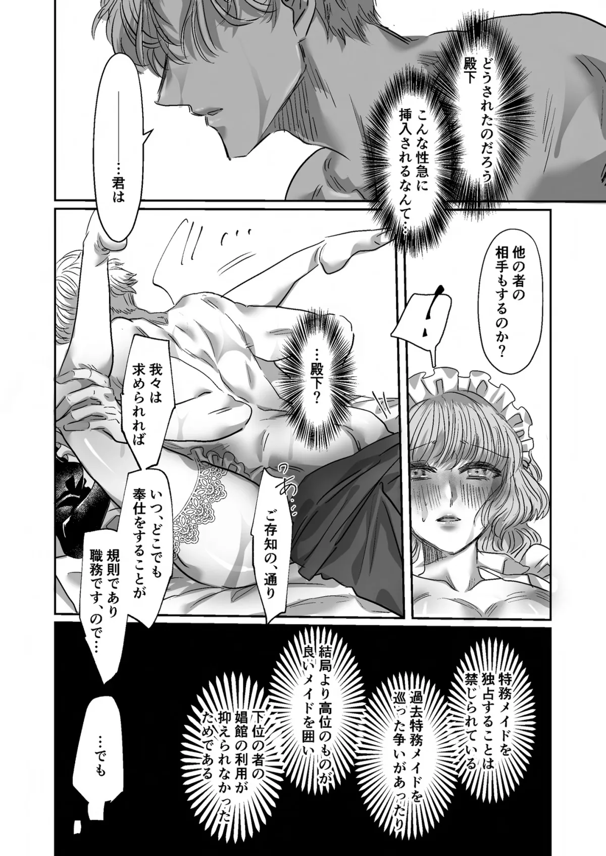 特務メイド~王子と騎士に愛されて~